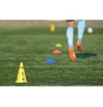 Pachołek treningowy 23 cm