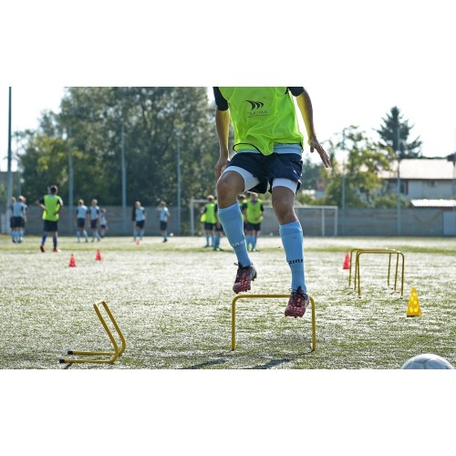 Płotki koordynacyjne 30cm