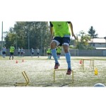 Płotki koordynacyjne 30cm