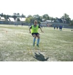 Płotki koordynacyjne 45cm