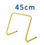 Płotki koordynacyjne 45cm