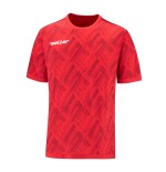 Koszulka piłkarska Reversible