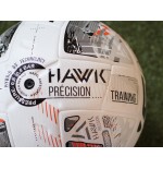 Piłka treningowa Hawk