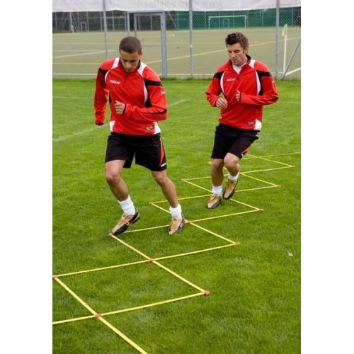 System koordynacyjny saller